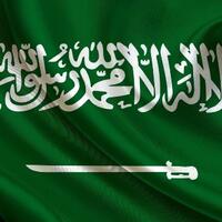 pemberontakan-dan-lahirnya-kerajaan-saudi-arabia