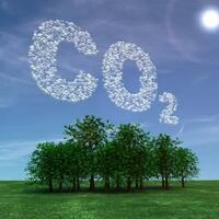 event-lingkungan-synthetic-tree-pohon-zaman-now-untuk-menyerap-karbondioksida