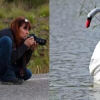 10-foto-perjuangan-fotografer-alam-liar-yang-luar-biasa-sekaligus-bikin-ngakak