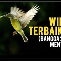 foto-wildlife-terbaik-2017-bangga-sekaligus-menyedihkan