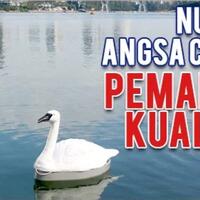 wow-di-singapur-ada-angsa-canggih-bisa-mendeteksi-kualitas-air-loh-gan