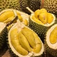 ini-loh-manfaat-makan-durian