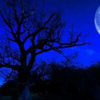 namanya-quotblue-moonquot-tapi-kok-warnanya-nggak-biru-ya