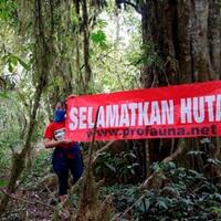 dampak-pelestarian-hutan-melalui-kearifan-lokal