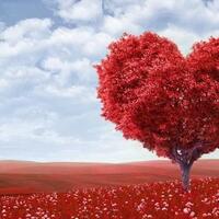 prepare-yourself-valentine-is-coming