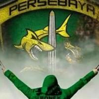 bonek-sudah-dewasa