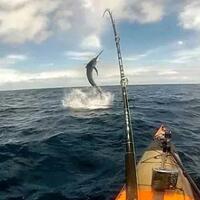 memancing-bisa-membuatmu-kaya