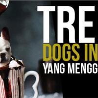 tips-sederhana-edit-foto-ide-dari-dog-in-food-yang-lagi-viral-di-instagram