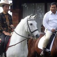 9-kuda-pacu-paling-cepat-di-dunia