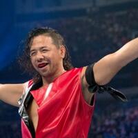 10-wwe-superstar-berdarah-asia