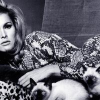 penampakan-si-seksi-ursula-andressquotgadis-bondquot-pertama-dalam-sejarah