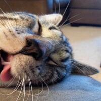 mau-tidur-nyenyak-jangan-lakukan-hal-ini