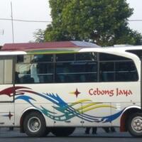 wow-sopir-bus-tersibuk-di-dunia-ternyata-ada-di-indonesia
