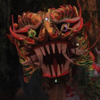 dari-liong-sampai-barongsai-meriahkan-perayaan-cap-go-meh