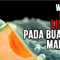 lagi-3-korban-baru-tewas-setelah-makan-buah-melon-mengenal-bakteri-listeria-yuk