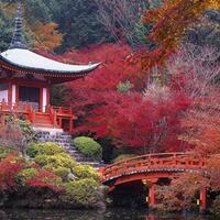 hal--gila--yang-hanya-bisa-agan-temui-di-jepang