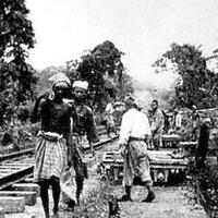 potret-nasib-kuli-perkebunan-tembakau-dan-karet-di-sumatera-timur-1891-1940