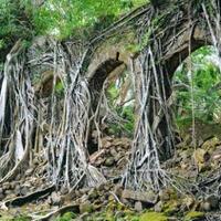 pulau-ross-seperti-kota-hantu-yang-indah-di-sisi-samudra-hindia