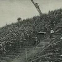 sejarah-perkebunan-tembakau-sumatera-timur-1865---1891