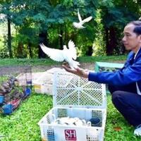 hewan-peliharaan-presiden-jokowi