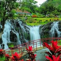 cantiknya-air-terjun-mini-niagara-di-bondowoso-rugi-kalau-gak-mampir-ke-sini