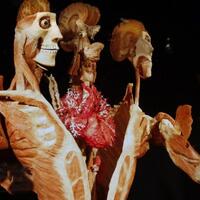 organ-asli-orang-orang-terkenal-yang-dipajang-di-museum