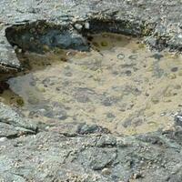 jejak-kaki-dinosaurus-berumur-170-juta-tahun-ada-di-skotlandia