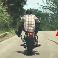 jangan-kaget-jika-hewan-ini-tak-pakai-lampu-sen