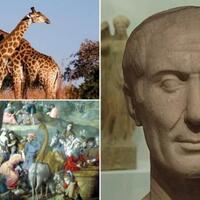 1-julius-caesar-bawa-jerapah-ke-eropadisebut-quotonta-macan-tutulquot