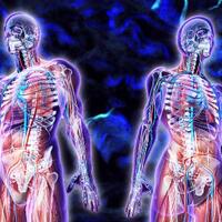 penemuan-baru-organ-tubuh-manusia-terbesar-bernama-interstitium