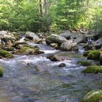 seberapa-parahkah-kualitas-air-sungai-di-indonesia