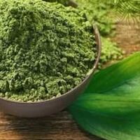 mari-mengenal-matcha-green-tea-lebih-dekat-gansis