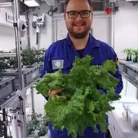 ilmuwan-berhasil-tanam-sayuran-di-antartika-tanpa-tanah-dan-sinar-matahari