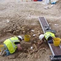 hiiiiikuburan-massal-bangsa-vikings-dengan-kepala-terpisah-ditemukan