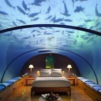 the-conrad--hotel-quotkerenquot-di-bawah-laut-dan-khusus-orang-kaya