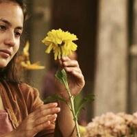 buffalo-boys-film-indonesia-bertema-western-dengan-cinematic-hollywood