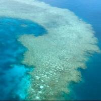 koral-ternyata-dapat-membuat-awan-agar-terlindung-dari-terik-matahari