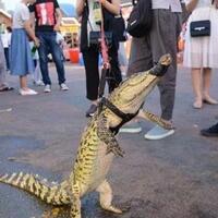 misteri-box-master-chef-thailand-mengerikan