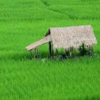 arti-kesuksesan-yang-sesungguhnya