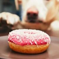 5-hal-yang-mempengaruhi-berat-badan