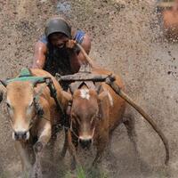 hands-on-kesan-pertama-mencoba-fujifilm-x-h1-selama-4-hari