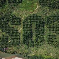 splash-and-burn-saat-seniman-luar-negeri-melakukan-aksi-peduli-untuk-indonesia