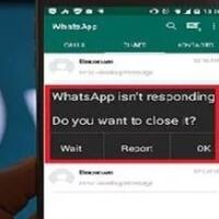 misteri-dibalik-pesan-yang-membuat-aplikasi-whatsapp-not-responding