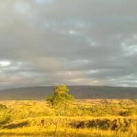 kerajaan-modern--ladang-ganjaini-3-mitos-gunung-tambora-yang-belum-gansis-ketahui