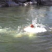 niat-ingin-merekam-dirinya-saat-berenang-di-sungai-tapi-yang-terekam-malah-ini