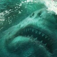 5-rekomendasi-film-tentang-keganasan-ikan-hiu