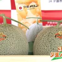 gila-alasan-orang-kaya-ini-nekat-membeli-quotmelon-spesialquot-seharga-400juta