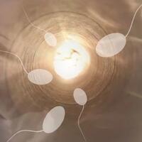 hati-hati-gan-struktur-sperma-kayak-gini-bisa-mengakibatkan-kemandulan