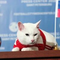 inilah-hewan-dan-robot-peramal-piala-dunia-2018