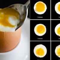 cara-merebus-telur-agar-tidak-pecah-dan-bulat-sempurna
